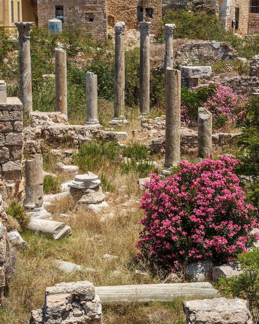 Vestígios arqueológicos fenícios e romanos na cidade portuária de Tiro.... (Ruins of Tyre)
