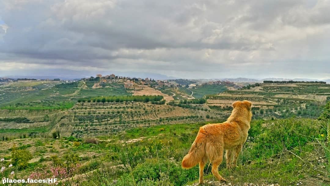 View from Ghassaniyeh/South Lebanon 🇱🇧🇱🇧 Photographed by @hussein.fwz � (Ghassâniye, Al Janub, Lebanon)