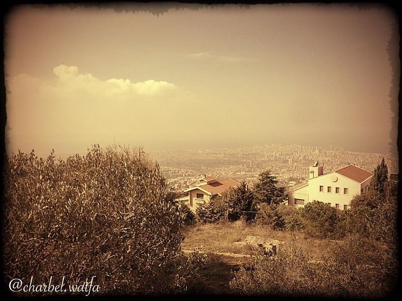  View of  Beirut  Lebanon from  beitmeri capital  olivetree  houseofbrick... (Beit Meri, Mont-Liban, Lebanon)