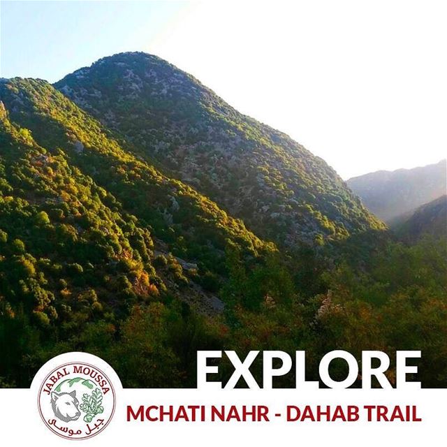 Visit  JabalMoussa and discover the Platanus Trail that goes from Mchati...