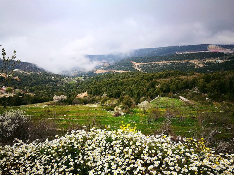 waiting for  spring springtime  springfever  clouds  flowerstagram ... (Annâya, Mont-Liban, Lebanon)