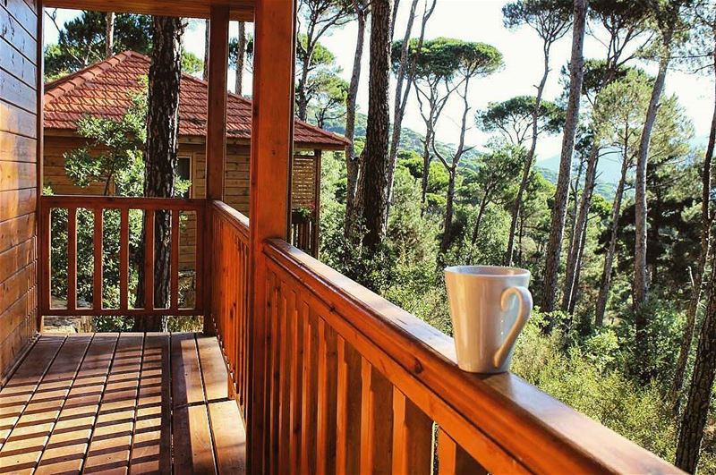 Waking up to picturesque landscapes is a simple pleasure worth pursuing ☕🌳