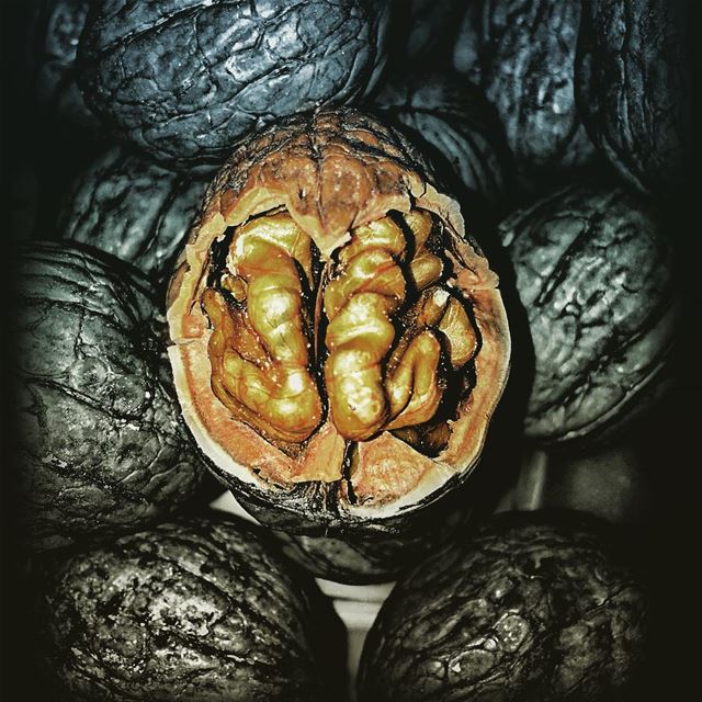 walnut  lebanon  brain ...