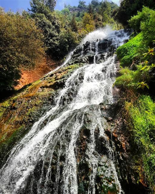  water is the  driver of  nature.. ouyounelsamak  akkar  watterfall ... (Ouyoun El Samak Waterfalls)
