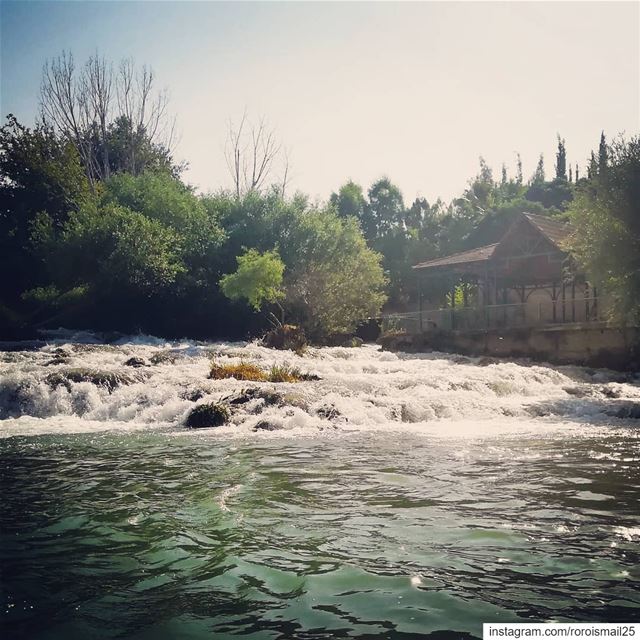  water photography  lebanon_pictures  inlebanon  livelovenature ... (الهرمل نهر العاصي)