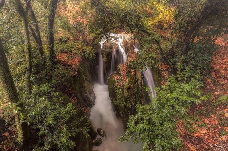  waterfall  shouf  lebanon  river  📷  canonme  authenticshouf ... (Chouf)