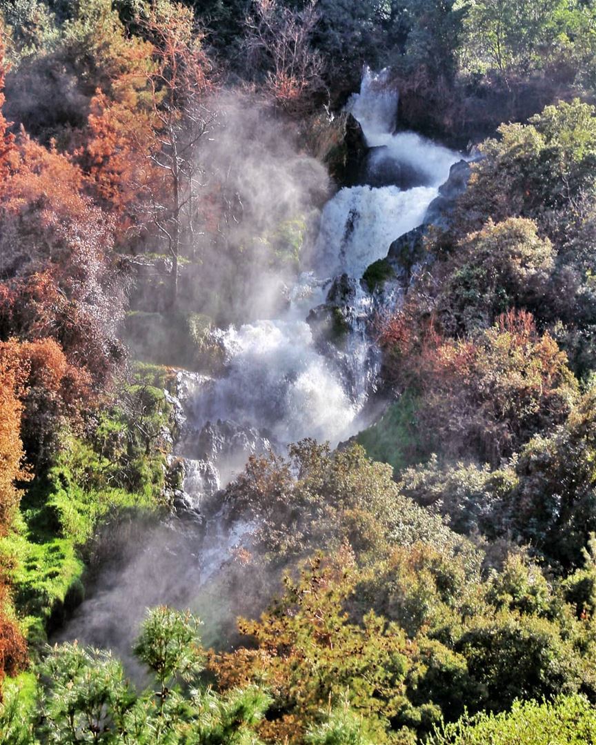 Waterfall & trees! . . . . .  lebanon  livelovebeirut  proudlylebanese ... (Ouyoun El Samak Waterfalls)