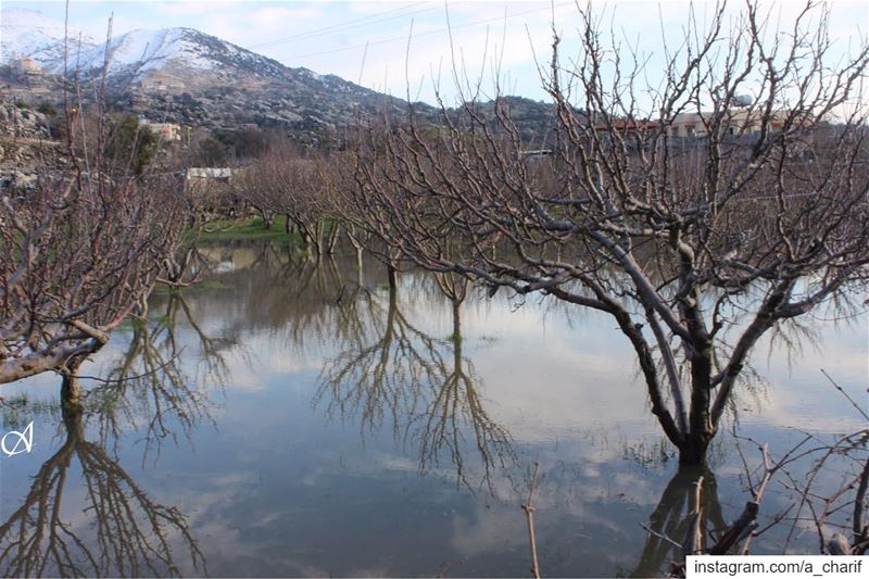 We cannot see reflection in running water. It is only in still water.... (Jezzîne, Al Janub, Lebanon)