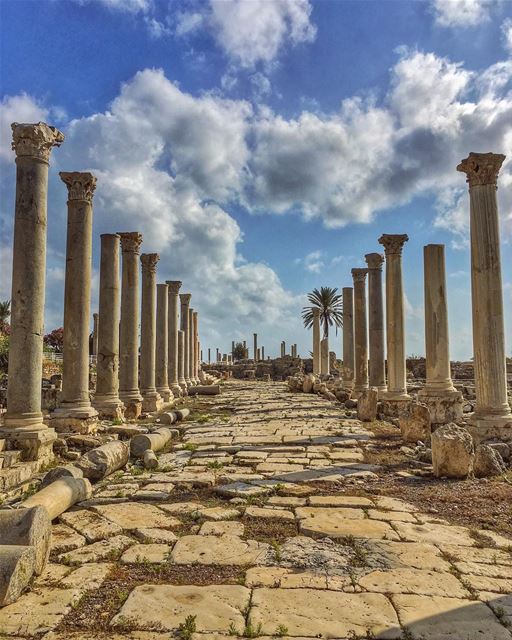 We fall, we rise, every scar engraved into our eyes, like ruins of... (Tyre, Lebanon)