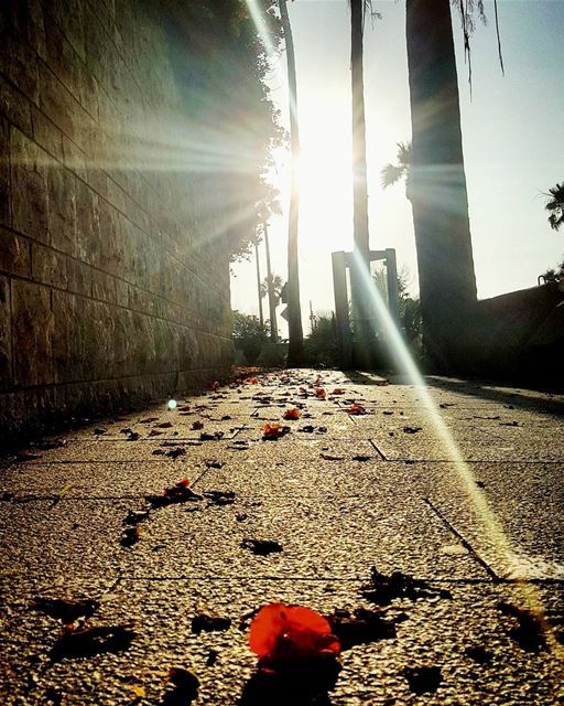 We may run through the same path..But we run differently.....Our... (Beirut, Lebanon)