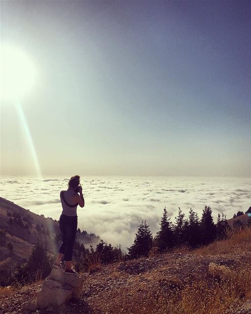 We take photos as a return ticket to a moment otherwise gone.. ☁️🌲☁️... (Al Shouf Cedar Nature Reserve)