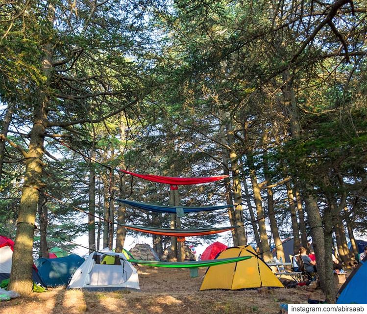 Weekend Goals be like.. ... lebanon  camping  campinglife ... (Hadath Al Jubbah, Liban-Nord, Lebanon)