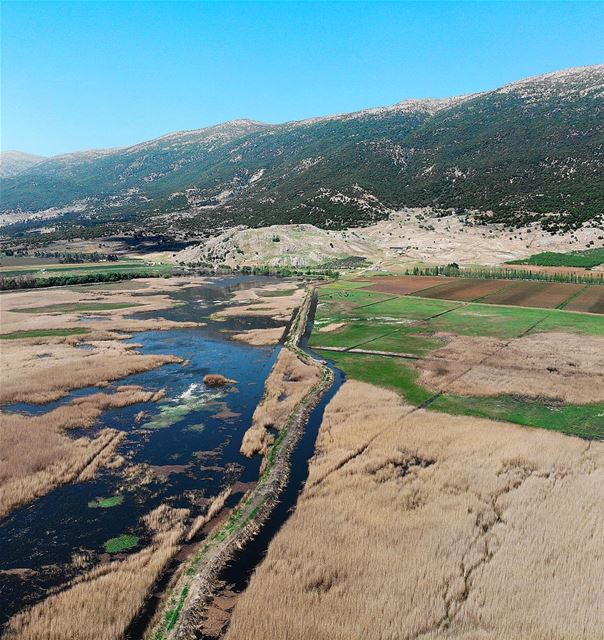 • wetland •  luna_drone  mavicair  mavic  drone  aerialphotography ... (محمية عمّيق)