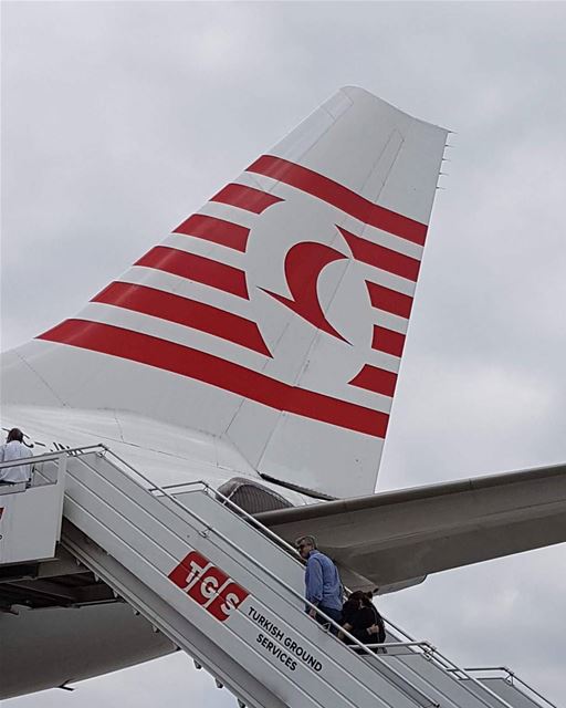 What a tail! İstanbul-Beirut flight with Kushimoto. Specially designed in... (Istanbul Ataturk Airport - IST)