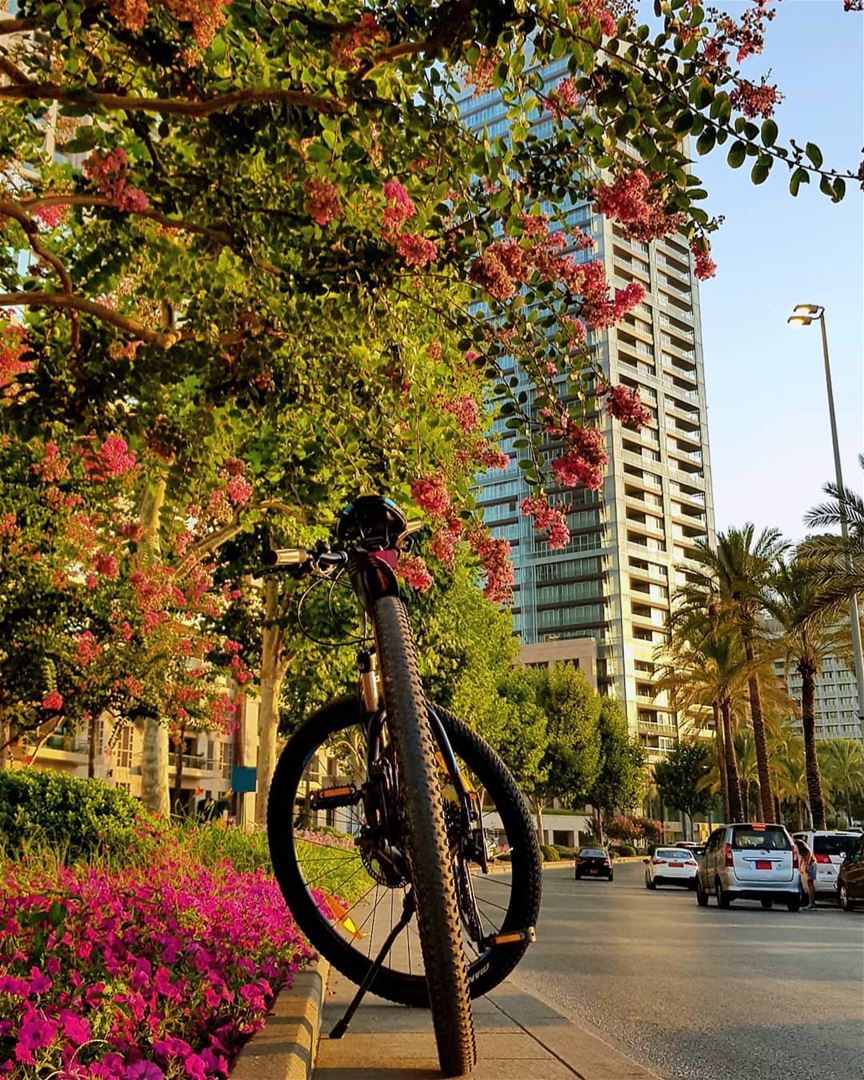 What do you need more.. grateful🚲🌺🍃🍃 today  everyday beirut july... (Zaitunay Bay)
