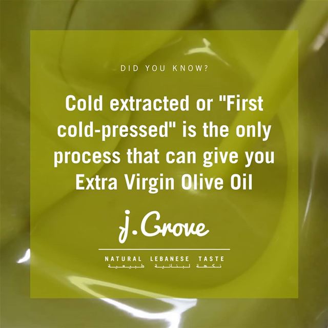 What is Cold Extraction in olive oil? Commonly known as "First Cold-Pressed