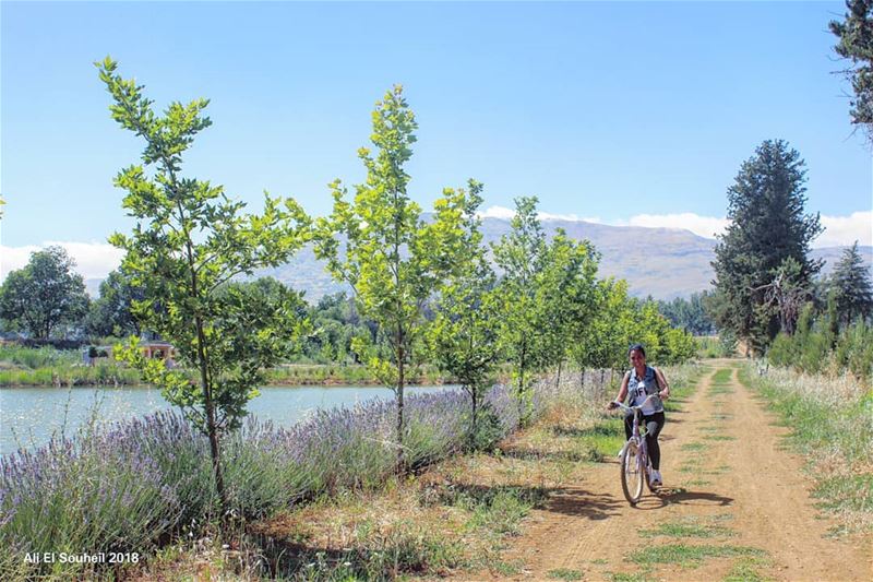 When one picture sums up what you love ❤  lake  trees  nature  bekaa  ... (Deïr Taanâyel, Béqaa, Lebanon)