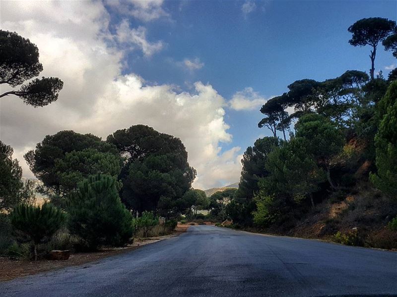 When this is your way home after a busy day at work😍🌳🌳 Nature ... (Bkâssîne, Al Janub, Lebanon)