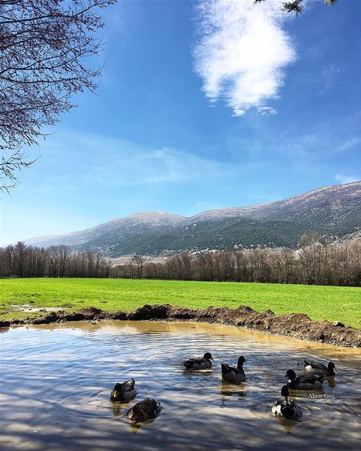 • When you are in the Mountains, Everyday is Fr🦆day• mountain  friday ... (`Ammiq, Béqaa, Lebanon)