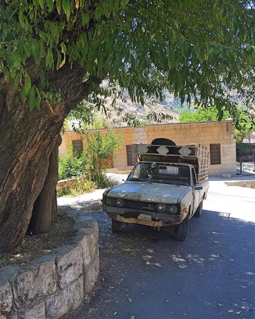 Where time stops  village  mountain  tree  oldcar  countrylife ... (Tannourine)