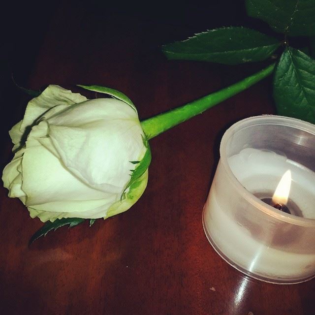  white  flower  candle  light  faith  beirut ...