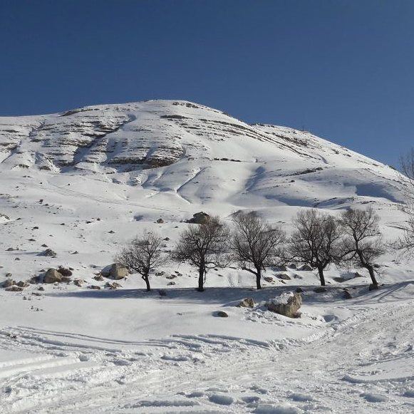White morning from  qanatbakish  peace  relax  serenity  white  snowy ... (Qanat Bakish, Mont-Liban, Lebanon)