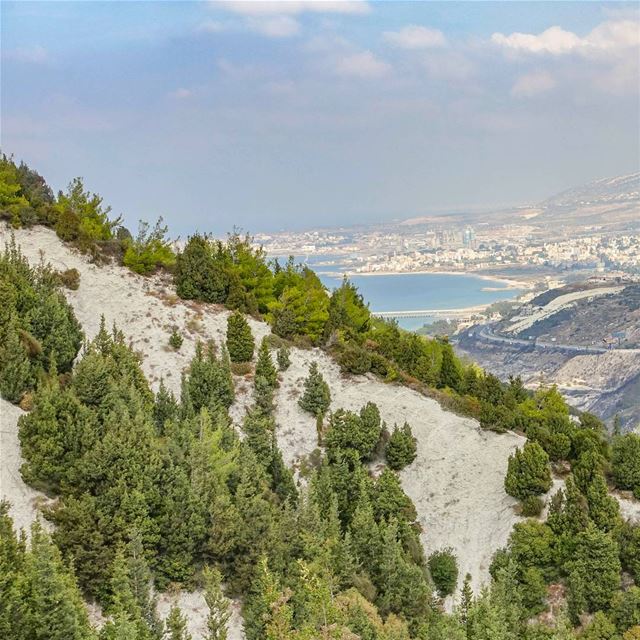White rocky clifs of Ras Chekka near the sea, in northern Lebanon... (Hamat)