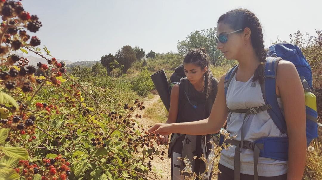 Wild, sweet and juicy.👅🌈📷 @johnnybaakliny.. wildberries  hiking ... (El Qammoûaa)