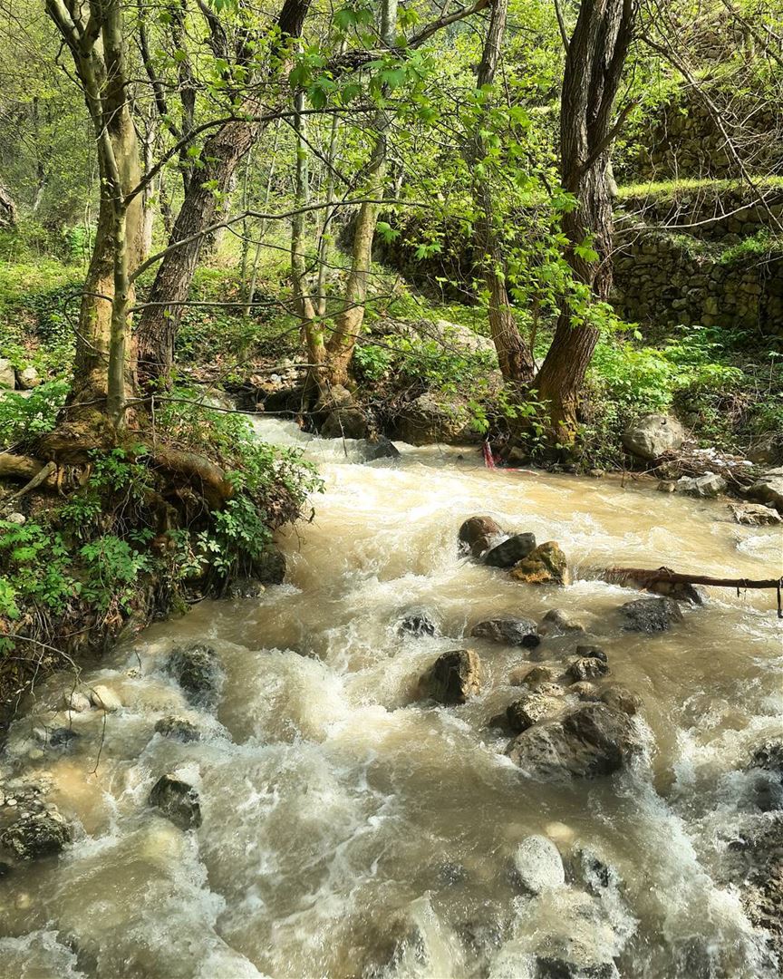  wildernesslebanon  explore @livelovebeirut @lebanoninapicture  river ...