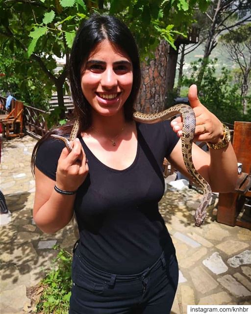 🐍@wildexplorerslebanon @lebanese_wildlife  snakes ...