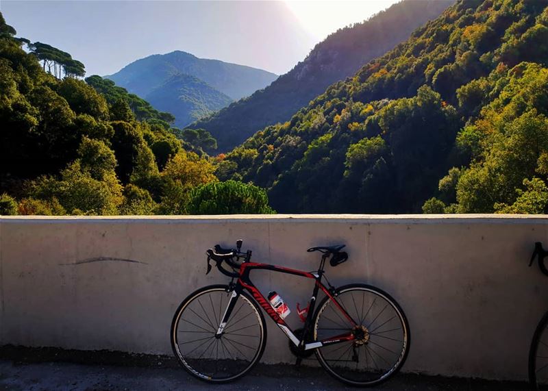  willier  willierbikes  williertriestina  cycling  cylinglife ... (Bzébdîne, Mont-Liban, Lebanon)