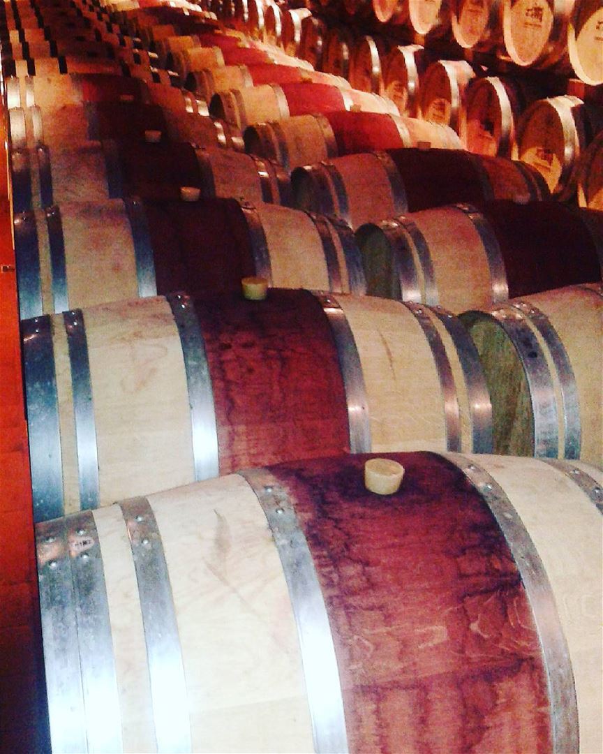 Wine Fermentation ... 🍷 fermentation  barril  wine  winery  drinkporn ...