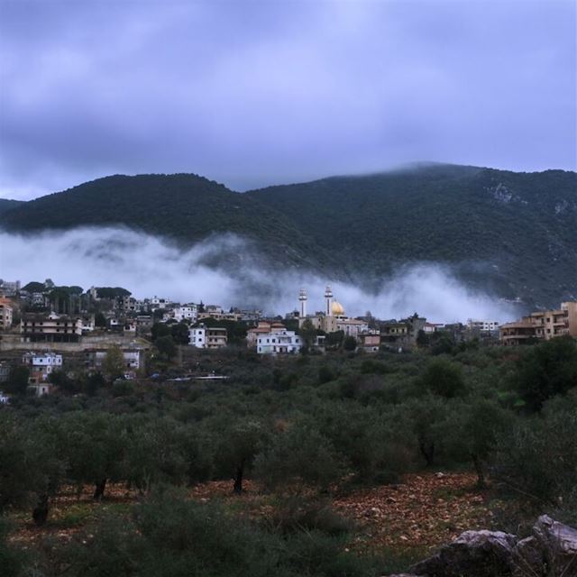 Winter waves 🌁, woke up to see this 😍, winter timelapse video, 600... (`Arab Salim, Al Janub, Lebanon)