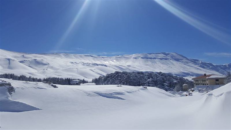 Winter yummies  snowshoeing  snow  mountains  lebanon_hdr  ptk_lebanon ...