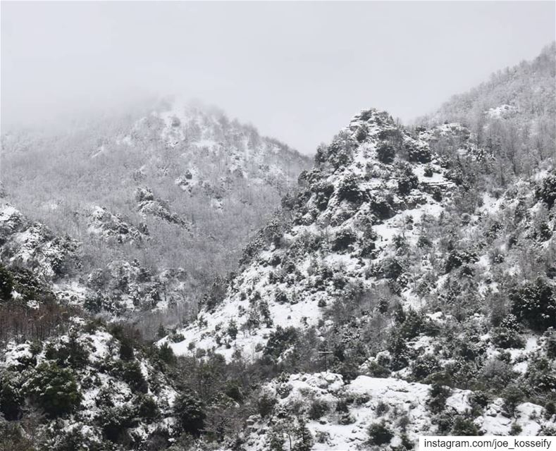 WinterLand ❄❄❄ (Ehmej, Mont-Liban, Lebanon)