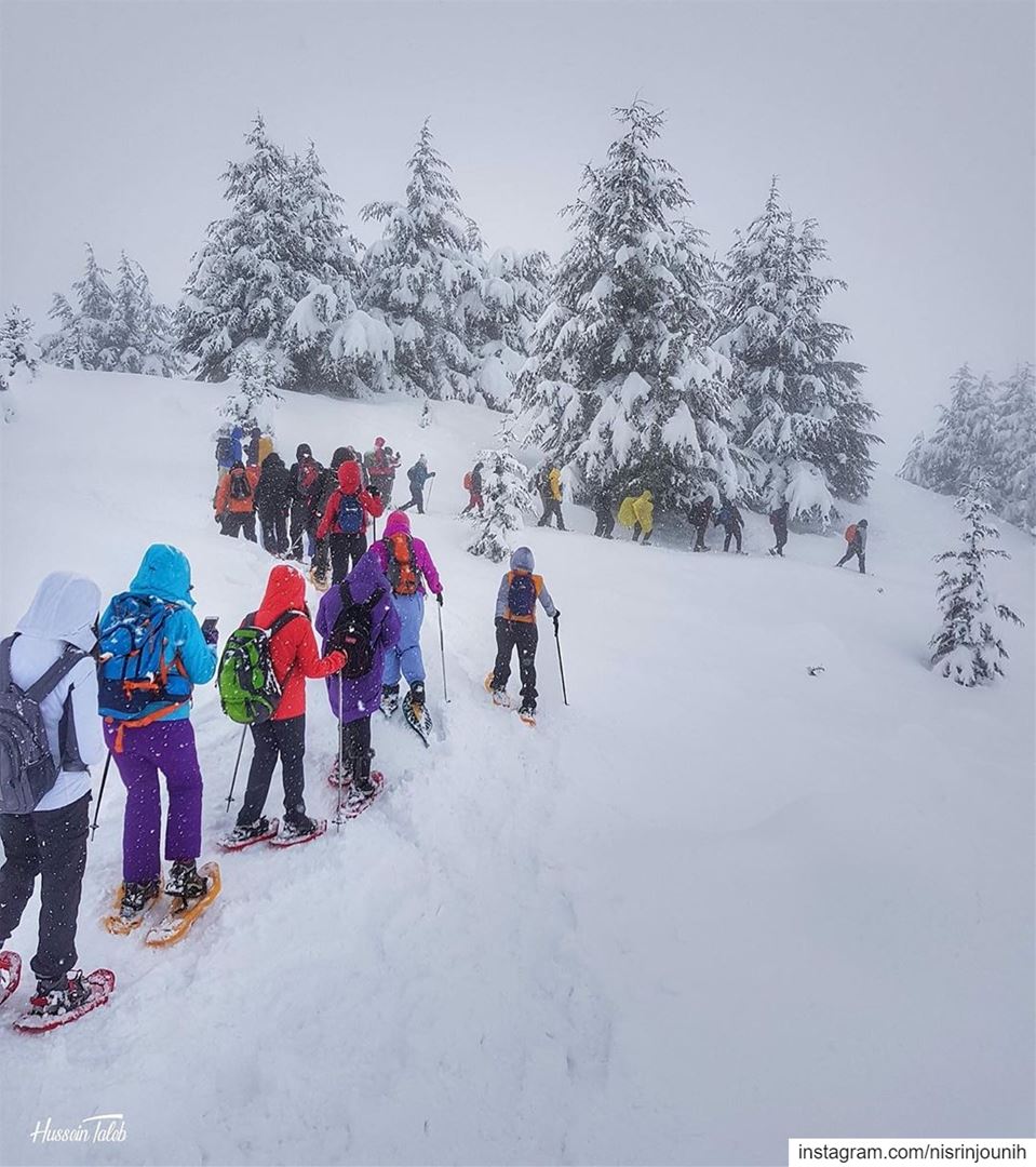  winterwonderland  snowshoeing  wildadventures  lebanon🇱🇧  meetlebanon ... (El Arz, Liban-Nord, Lebanon)