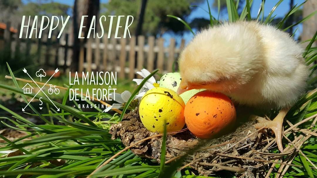 Wishing you a very happy Easter full of love, peace, joys of Spring and...