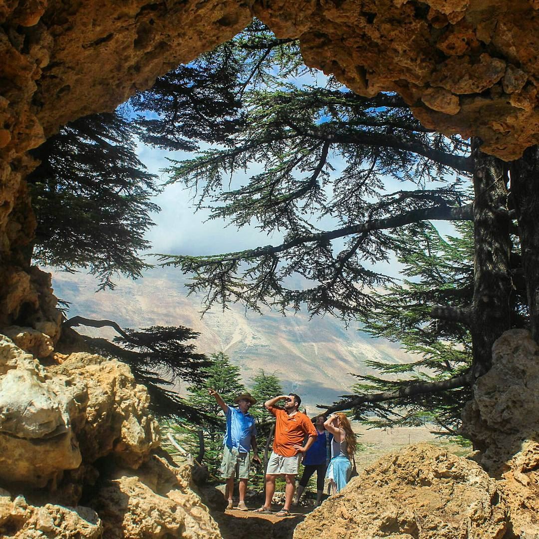 Wondering wanderes 🌲❤🌲 .LEBAN❤N .... nature  lebanon  bcharre  ... (Cedars of God)