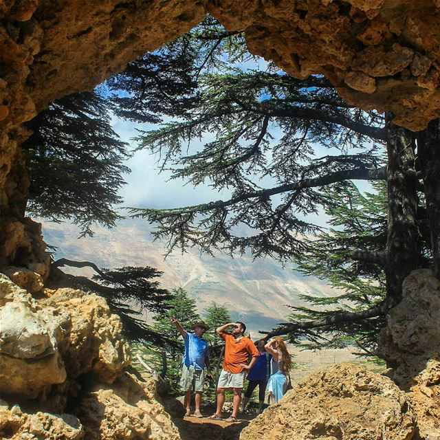 Wondering wanderes 🌲❤🌲 .LEBAN❤N .... nature  lebanon  bcharre  ... (Cedars of God)