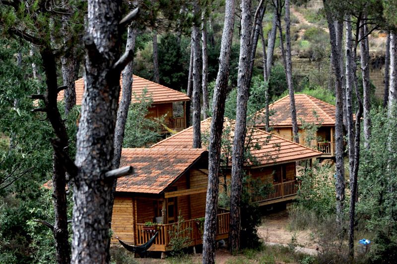  woodhouse  hamak  bangalo  trees  pine  lebanon  lebanoninapicture ... (La Maison de la Forêt)