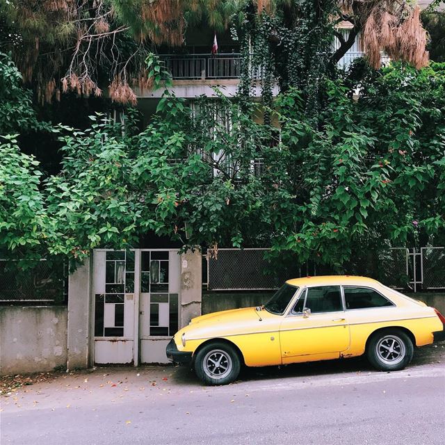 •Yellow••• Lebanon  car  yellowcar  exklusive_shot   liveauthentic ... (Baouchrîye, Mont-Liban, Lebanon)