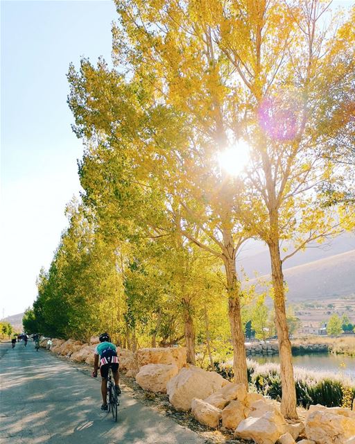 Yellow path 🚴‍♂️... cycling  lebanon  polyliban  sports ...