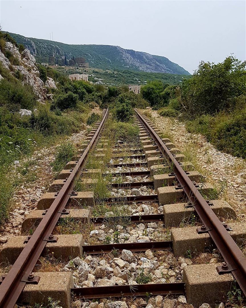 You may not know where the track ends, but persevere and you shall see.🛤 ... (Hamat)