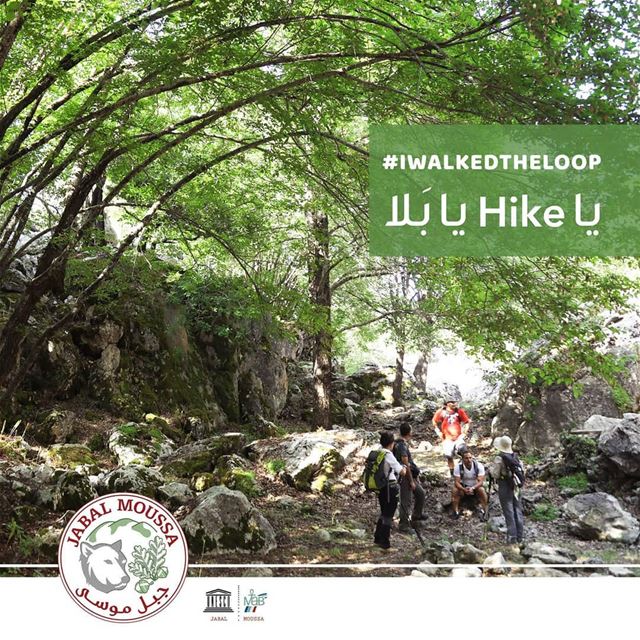 YOU TOO CAN WALK THE LOOP: call us at 09-643464 ; 71-944405 for more... (Jabal Moussa Biosphere Reserve)