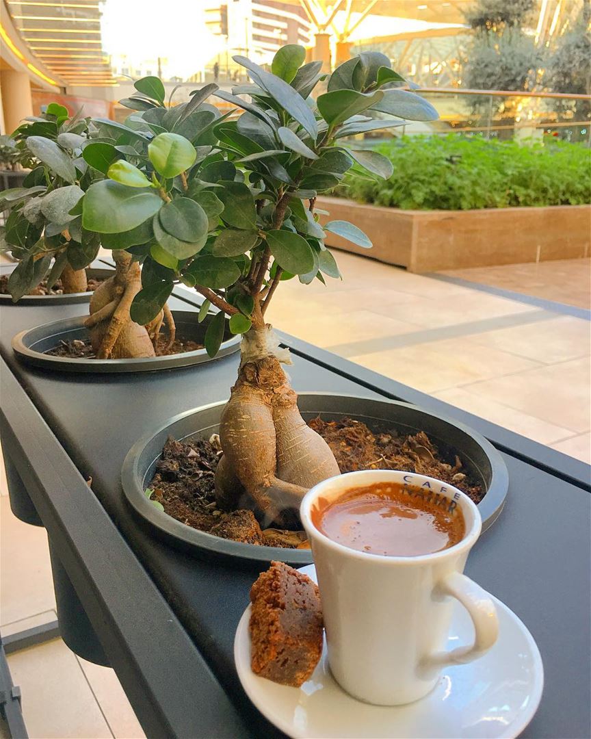 Your afternoon  is not complete without your daily dose of coffee ....... (ABC Verdun)