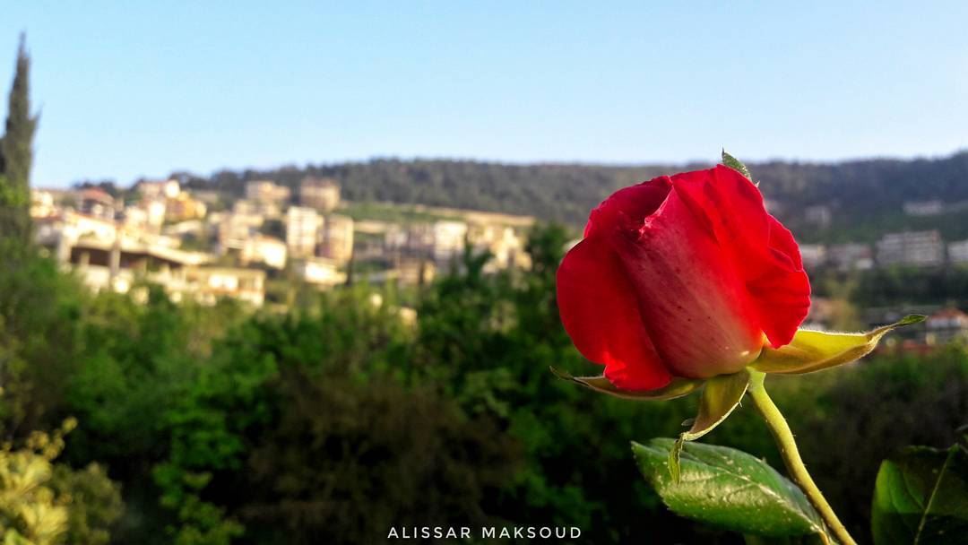 " إن الجميل وإن طال الزمان فليس يحصد الا الذي يزرعا." 💫💫💫💫💫💫💫💫💫💫 (Bakhoun, Liban-Nord, Lebanon)