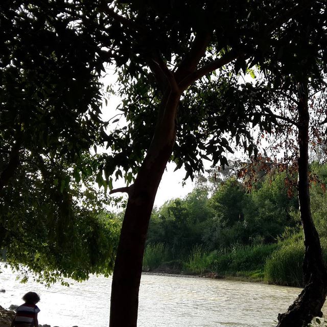 التفاؤل نهر الأمل الجارف 👊بين صخور التحديات. مساء الخير☺ livelovenature... (نهر الاولي - Al Awali River)