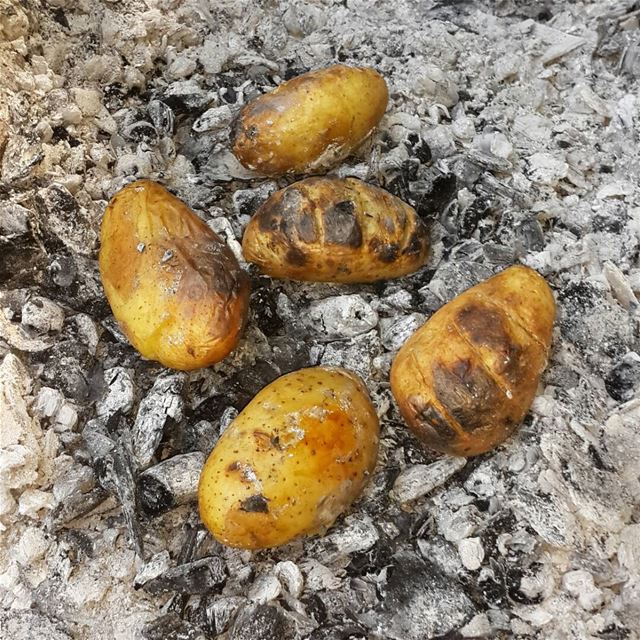  الوضع_بطاطا  insta  lebanon  summer  potato  potatos  caping  capingday ...