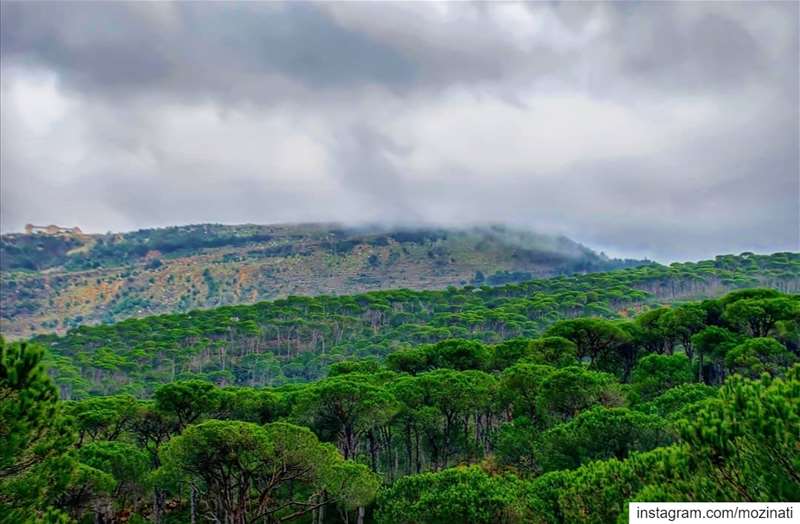 بإنتظار العاصفة.. ===========================  mountains  landscaping ... (Jezzîne, Al Janub, Lebanon)