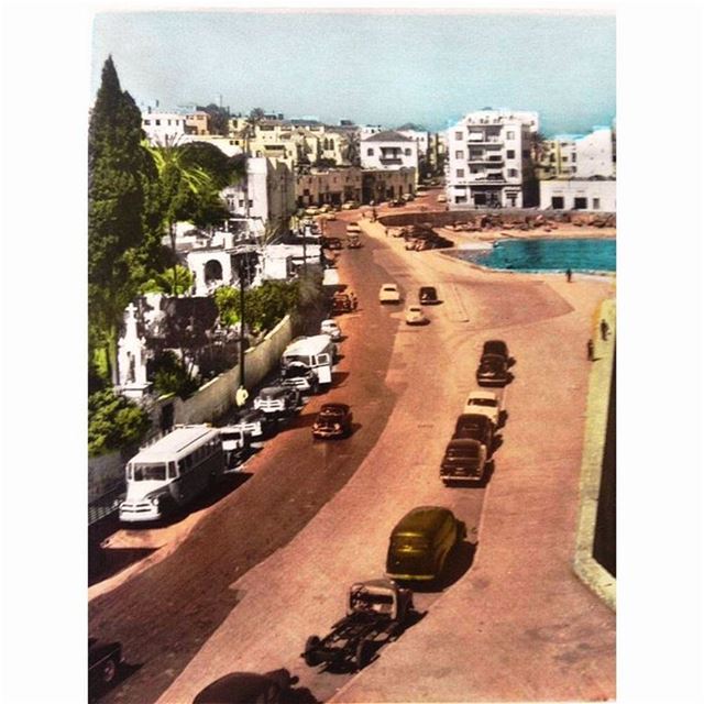 بيروت الزيتونة عام ١٩٥٤ ، Beirut Zaytouna Bay